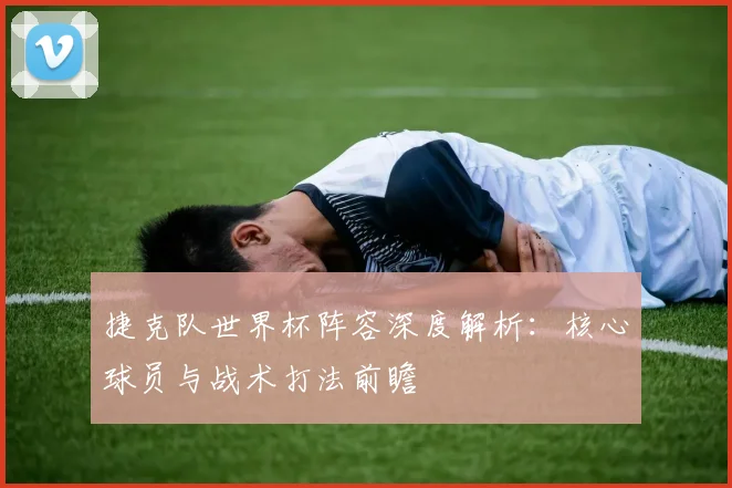 捷克队世界杯阵容深度解析：核心球员与战术打法前瞻